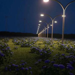 日韩家族强奸乱淫性生活影片
